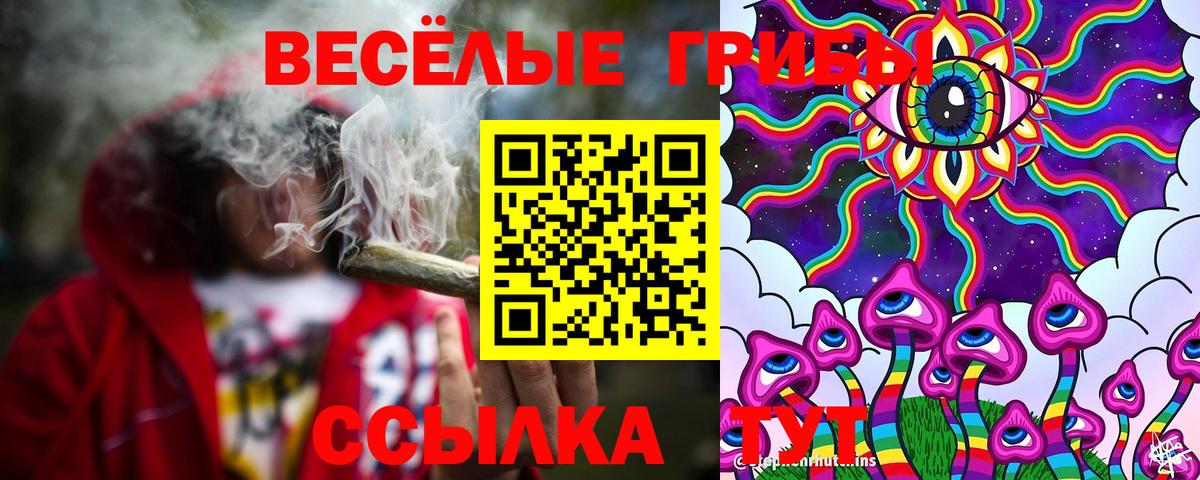 Галлюциногенные грибы прущие грибы Канск