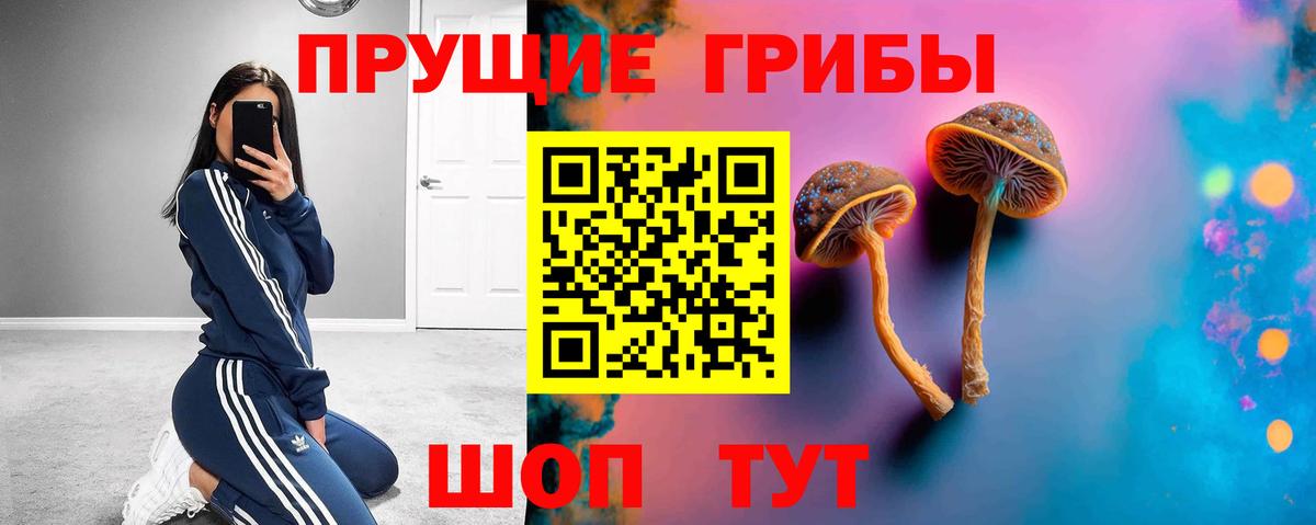 цена   Галлюциногенные грибы ЛСД  Вход с VPN  Канск  Галлюциногенные грибы мицелий 